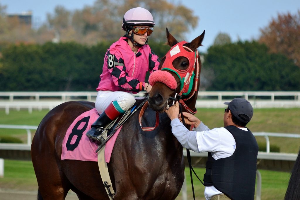 A trading evolution; from football into horse racing Sports Trading